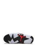 Air Jordan 6 Reflection Of A Champion