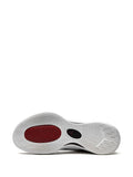 Air Jordan Zoom Separate Sneakers