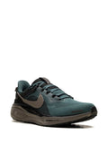 Air Zoom Pegasus 41 Sp Sneakers
