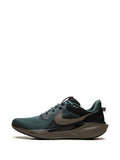 Air Zoom Pegasus 41 Sp Sneakers